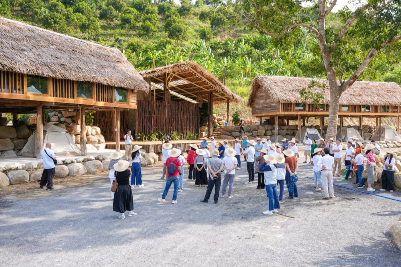Sản Việt Farm — nhà tranh bên suối Ninh Hòa